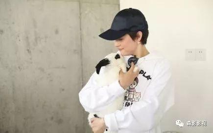 娱乐吃瓜君耍大牌小说